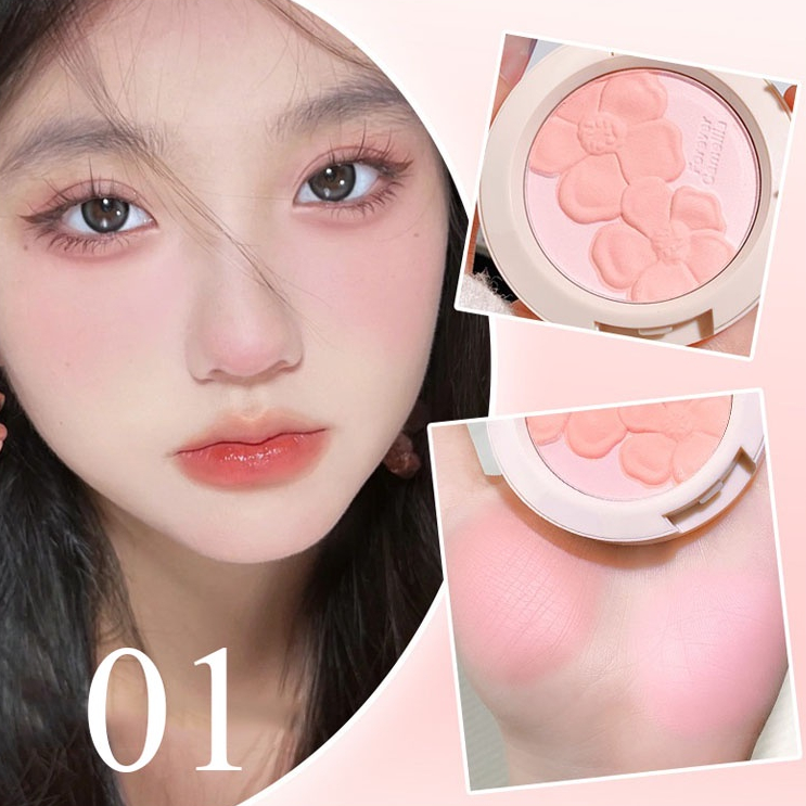 Phấn má hồng 2 màu cực xin XIXI D-523