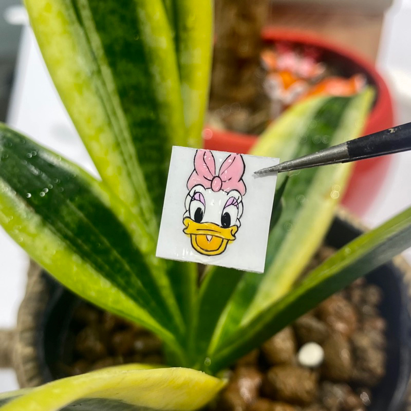 Bìa_vẽ_sticker