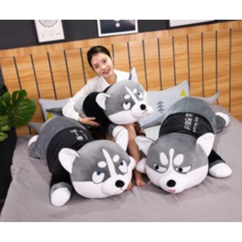 Gấu Bông Chó Husky siêu khổng lồ 1m5, thú nhồi bông chó husky siêu hot