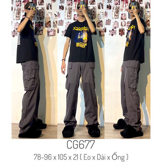 Quần túi hộp cargo pants 2hand