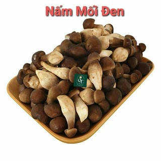 Phôi Nấm Mối Đen(1kiện&7phôi) Chưa Có Mựn Dừa