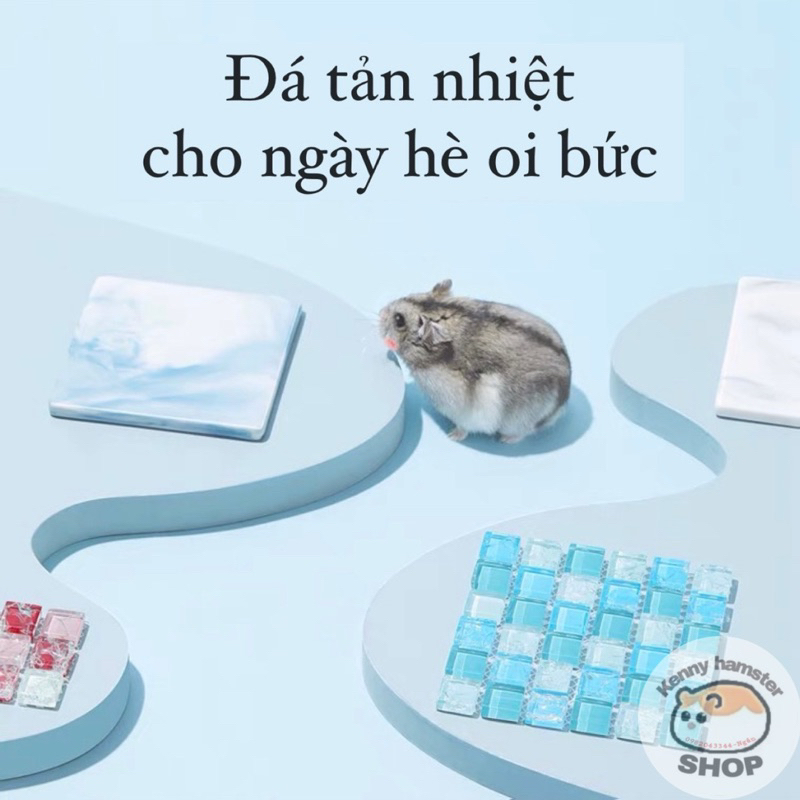Đá tản nhiệt làm mát cho hamster và thú nhỏ