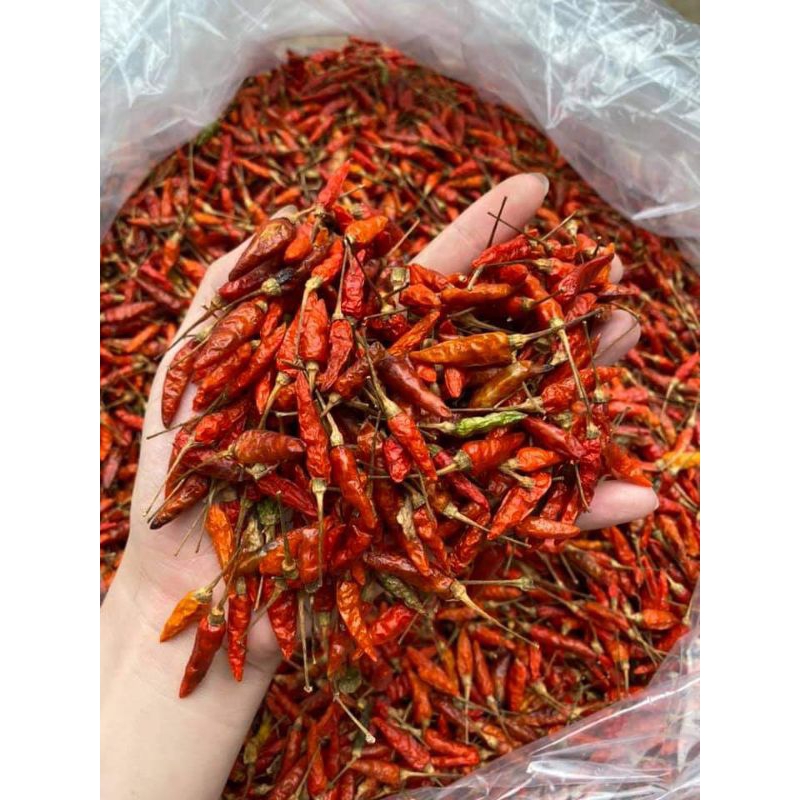ớt thóc rừng phơi khô