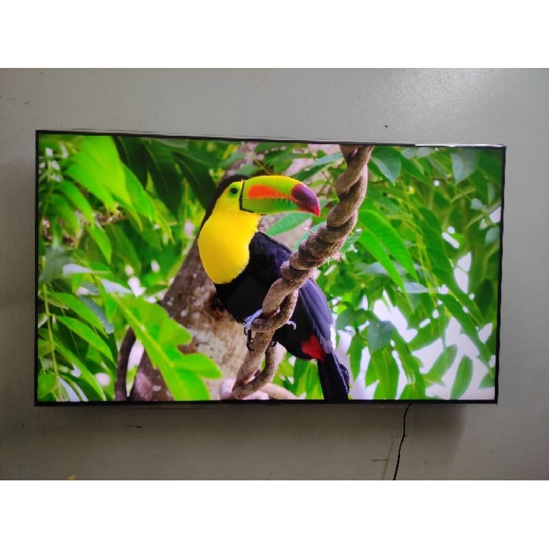 Kính chắn bảo vệ tivi 55 inch