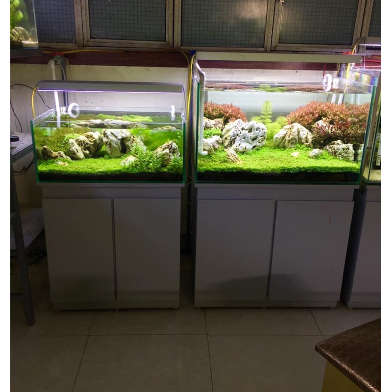 Tủ bể cá cảnh