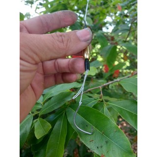 lưỡi câu cá lóc kiểu Huế