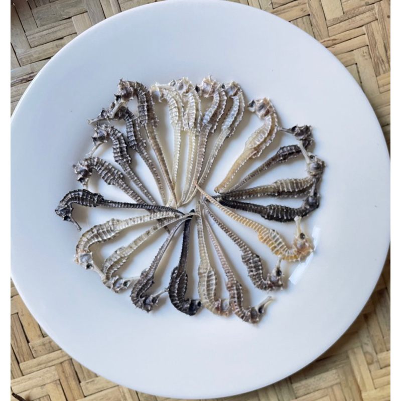 2 con Cá Ngựa Khô Size 5cm - 6cm