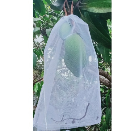 100 CÁI TÚI BAO, BỌC TRÁI NHO, MƯỚP, KHỔ QUA CHẤT LIỆU LƯỚI TỐT KÍCH THƯỚC 20*35