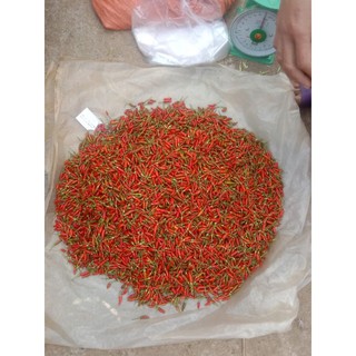 ớt thóc rừng phơi khô