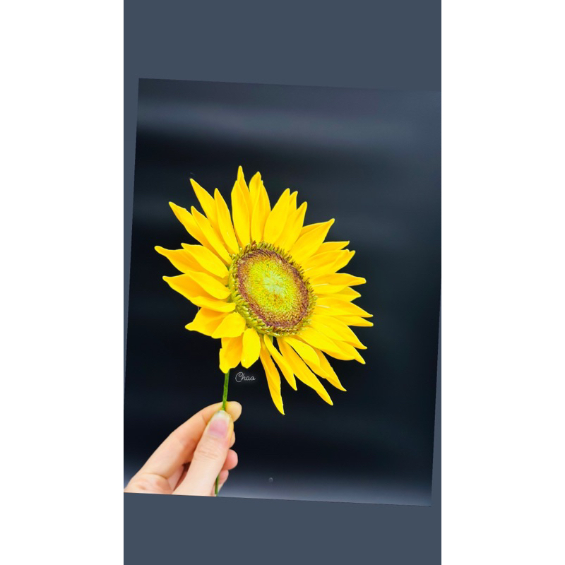 Bột Đường Gumpaste