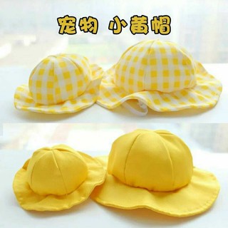 Nón mũ bèo vịt cho thú cưng