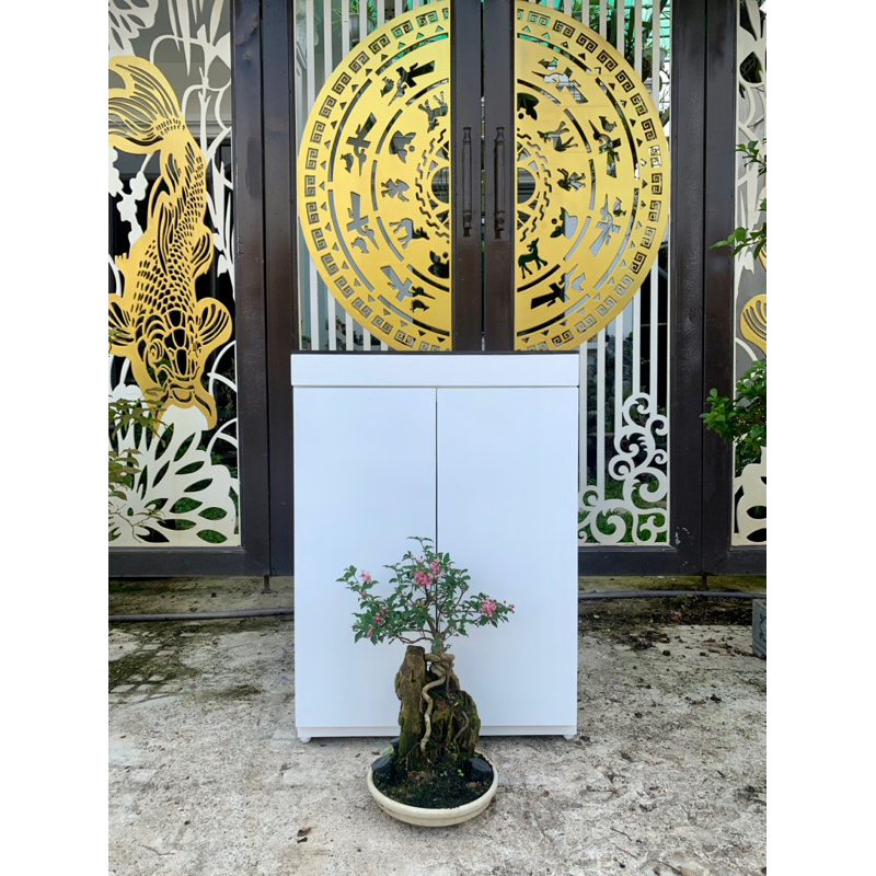 Tủ bể cá cảnh