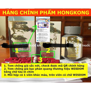 Linh chi tráng thận đơn 50 viên
