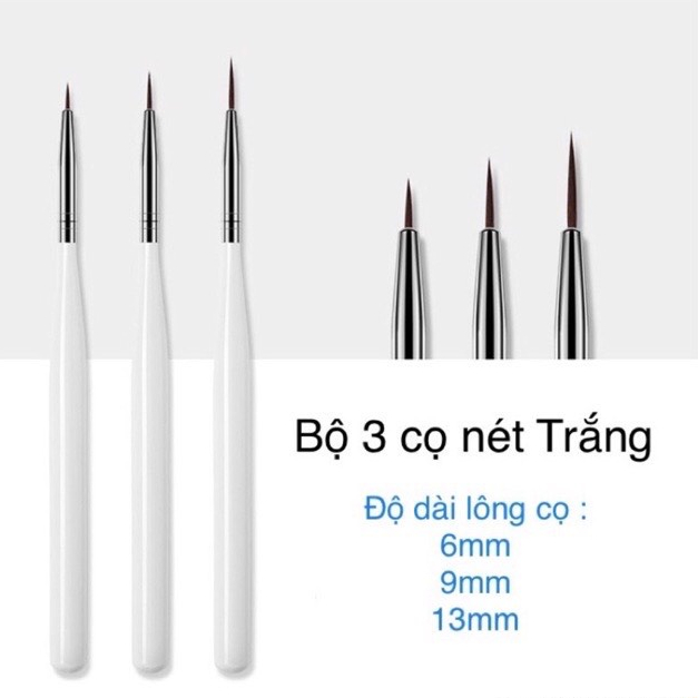 Bộ 3 Cây Cọ Sơn Móng Tay Gel UV Cọ Trang Trí Giao Hàng Nhanh làm nail chuyên nghiệp đầu nhỏ sắc nét