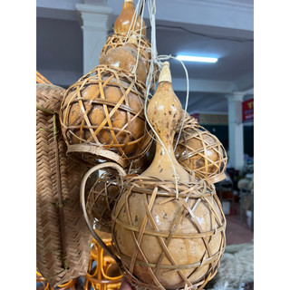 Quả bầu khô
