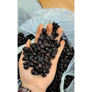 Hạt dổi, mắc khén gia vị tây bắc