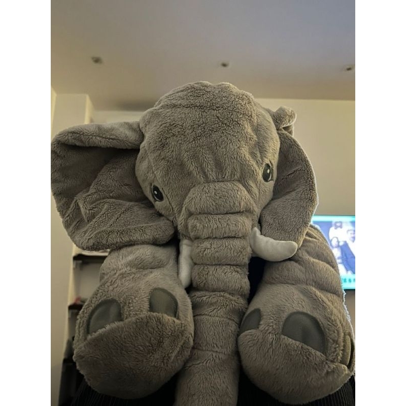 Combo voi Hàn Quốc và chó gold ikea