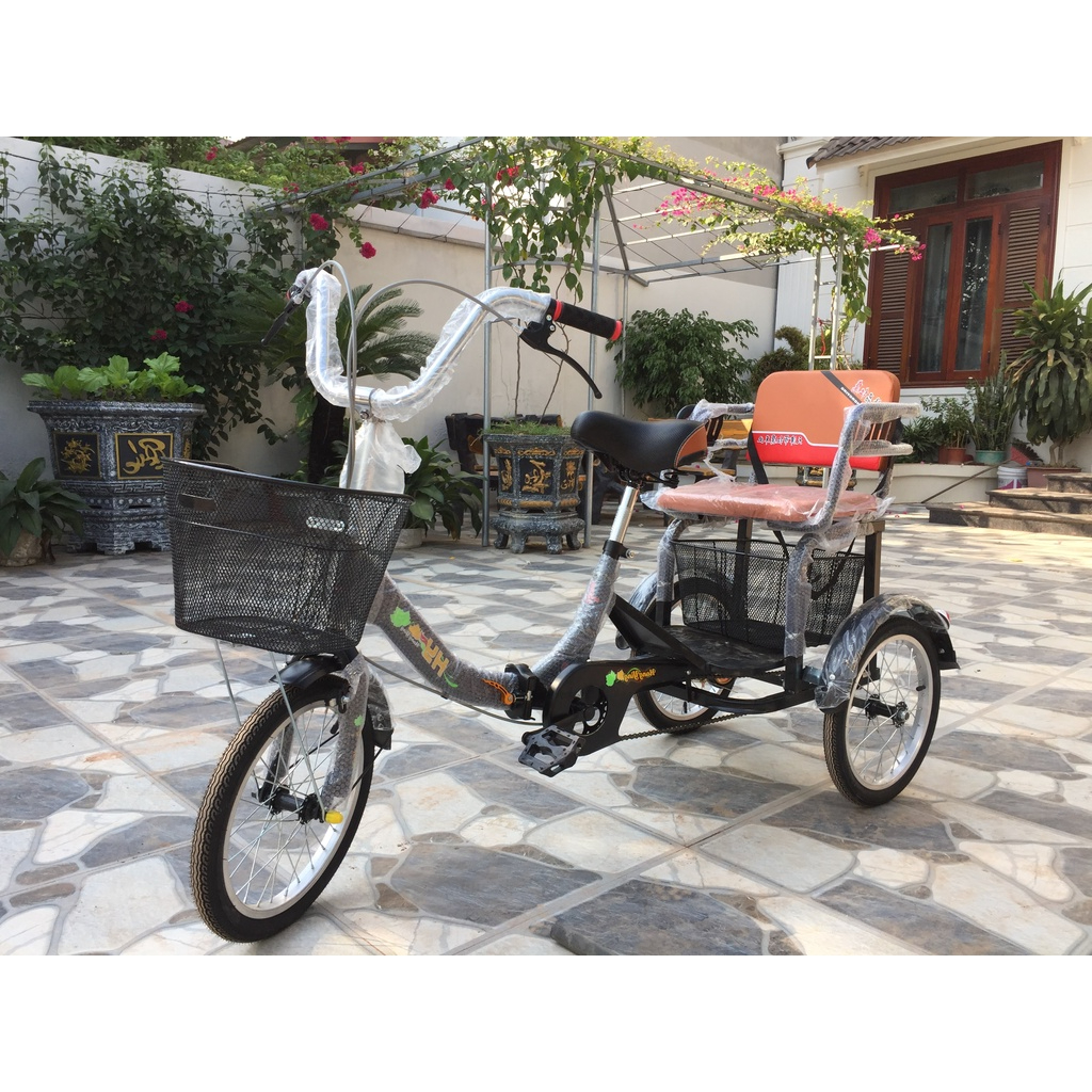 Xe ba bánh cho người già, người khuyết tật