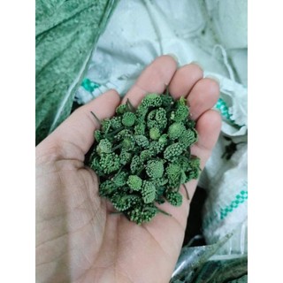 100gr nụ hoa tam thất xanh[hàng chuẩn loại 1]