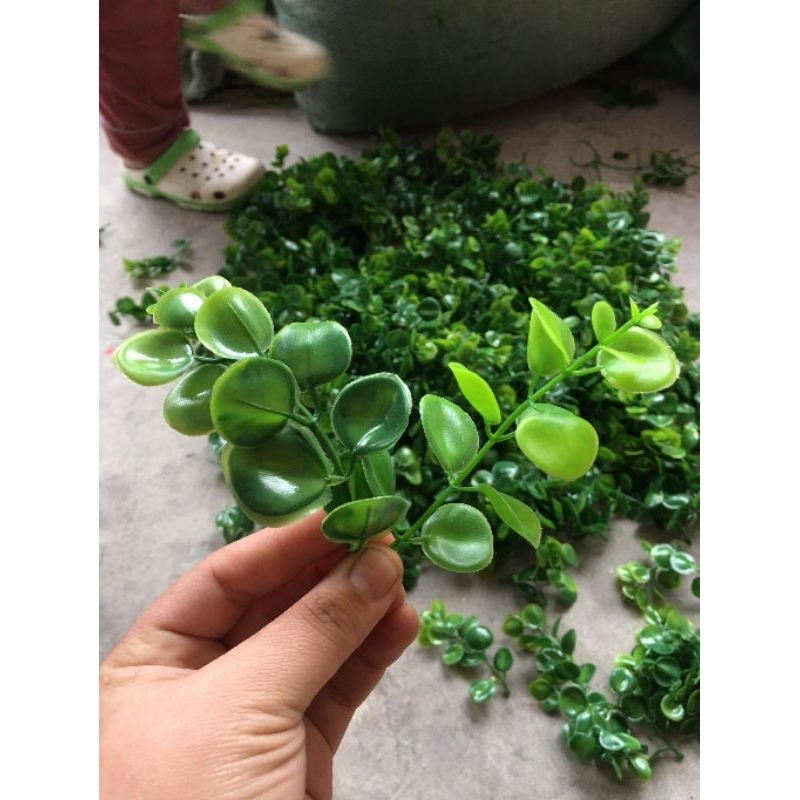 100gr cành lá táo trang trí
