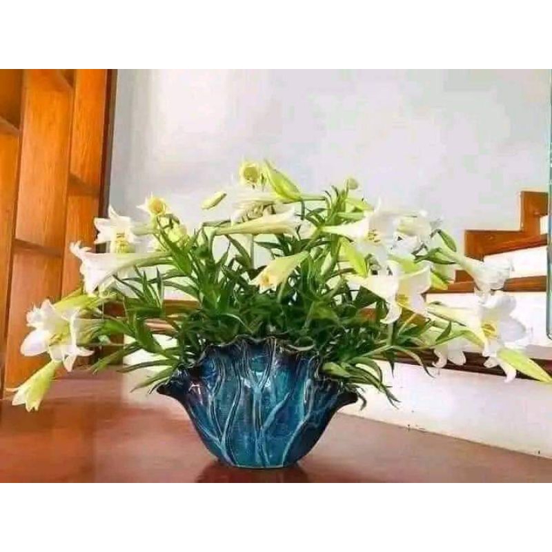 Bình hoa decor dáng lá sen - men lam hỏa biến. TẶNG kèm miếng định hình hỗ trợ cắm hoa