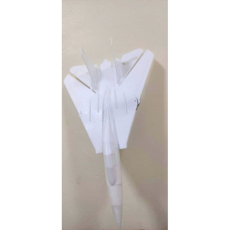 Bộ vỏ kit máy bay F- 14 biên dạng toàn thân có cơ cấu gấp mở cánh sải 60 - 1m10 cm