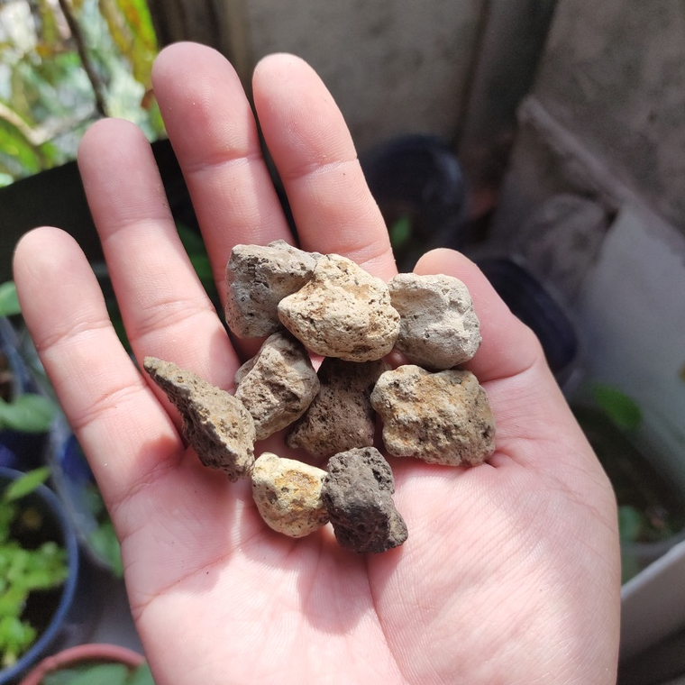1kg vật liệu lọc nước hồ cá đá Pumice lọc nước  đã được xử lý và ngâm qua nước