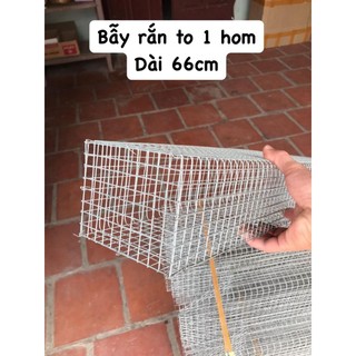 Bẫy rắn...