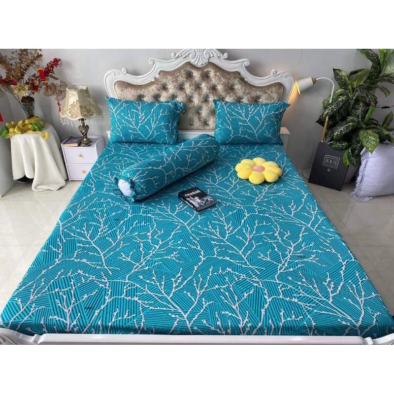 DRAP THUN HÀN QUỐC NHÀNH CÂY BAO SANG