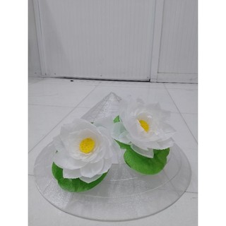 nón sen chụp ảnh