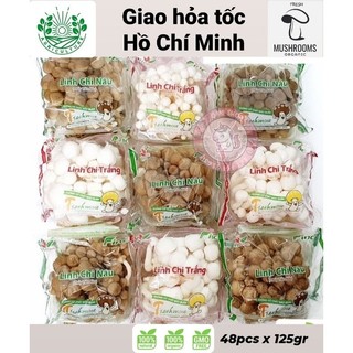 🍄 Nấm Linh Chi Trắng & Nâu / White & Brown Bunashimeji Mushrooms 125gr (nhãn Finc/Everlife) - giao hỏa tốc Hồ Chí Minh
