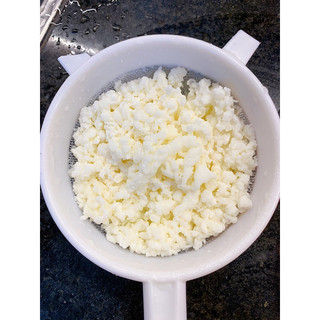 Nấm sữa Kefir làm sữa chua Hy Lạp-bảo hành thành công