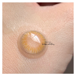 ( TẶNG KÈM KHAY GƯƠNG MINI ) LENS KÍNH ÁP TRÒNG MIS BROWN