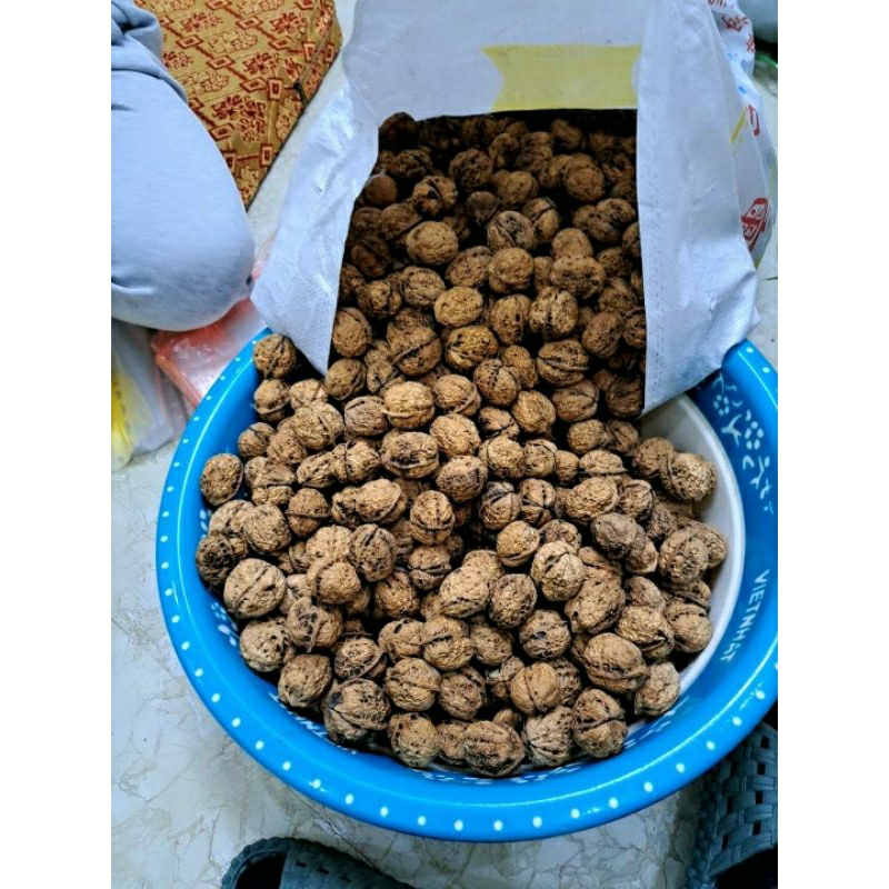 Quả Óc Chó Hà Giang