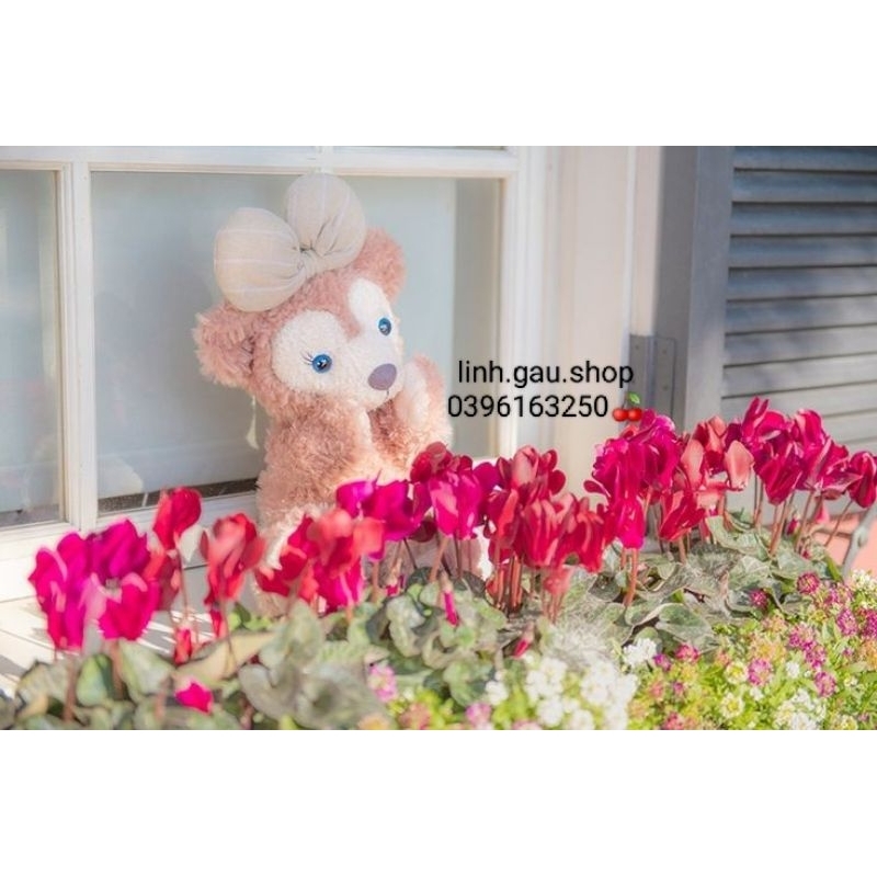 Gấu Duffy Disney có nơ