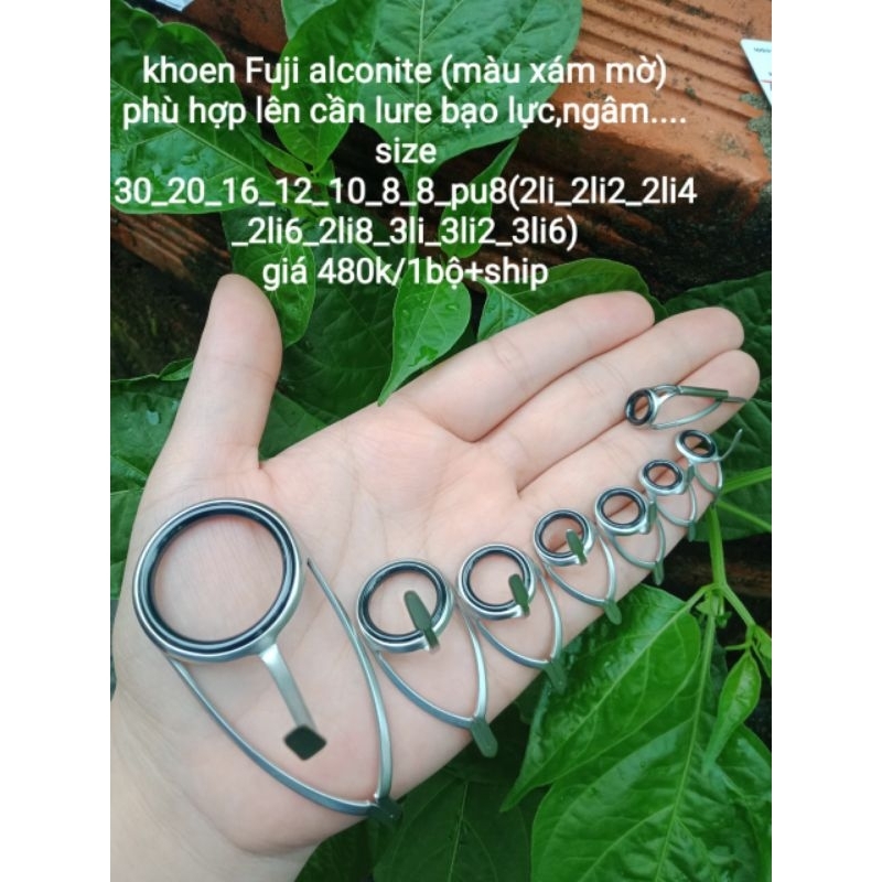 khoen fuji dựng cần lure bạo lực