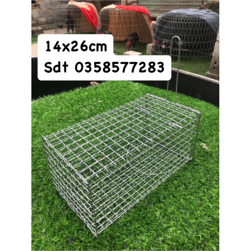 Bẫy chuột 14x26cm