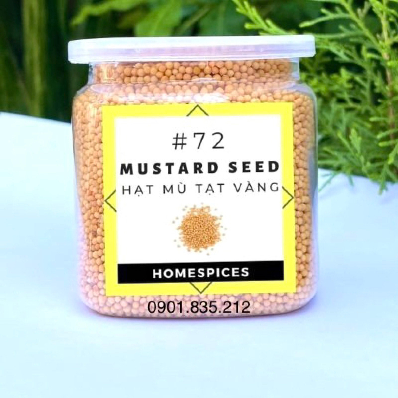Hạt mù tạt vàng - Yellow Mustard seed