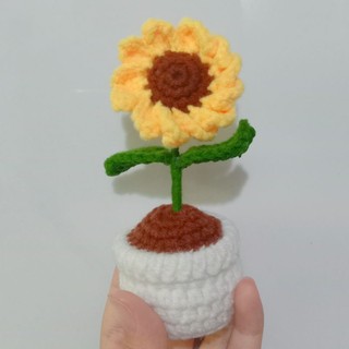 Chậu hoa cúc vàng len handmade
