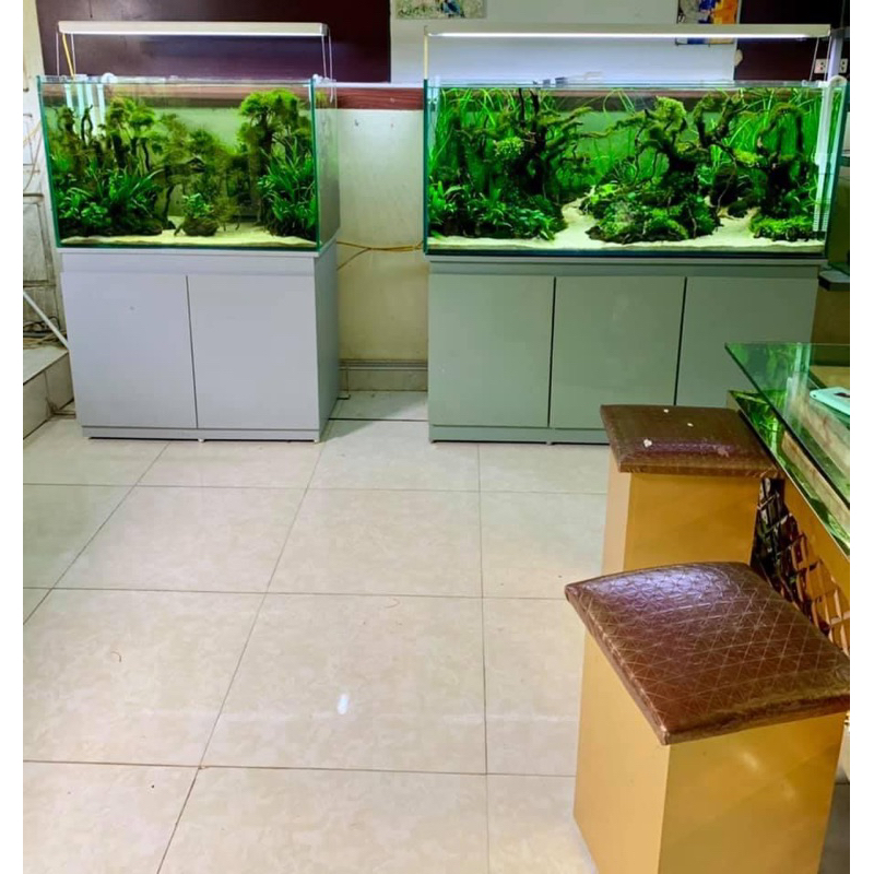 Tủ bể cá cảnh
