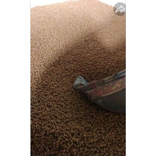 cám cá koi new 5kg