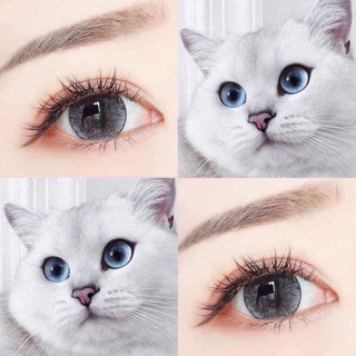 Lens kính áp tròng mắt mèo, màu xám tro, giãn to 14.5