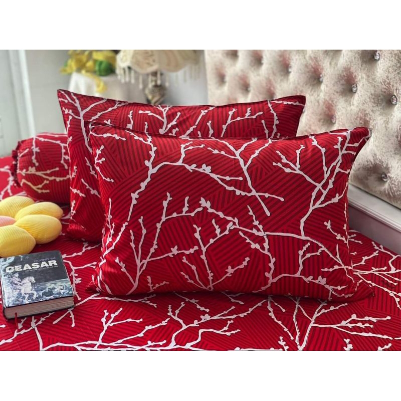 DRAP THUN HÀN QUỐC NHÀNH CÂY BAO SANG