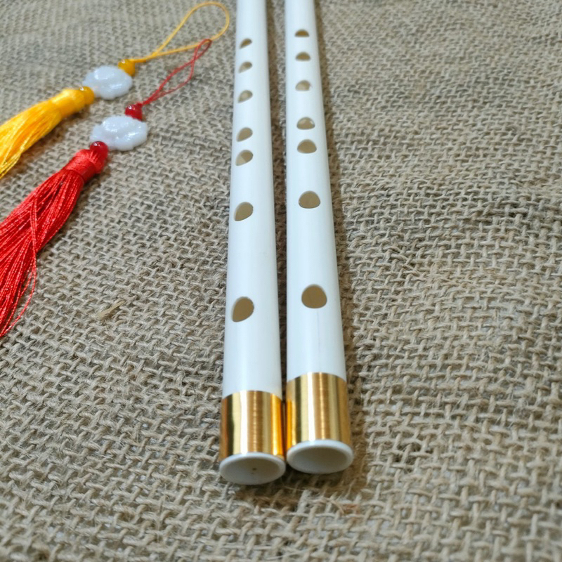 Sáo nhựa Tone Đô  Dành Cho Người Mới Tập Chơi, Kèm Dây Treo