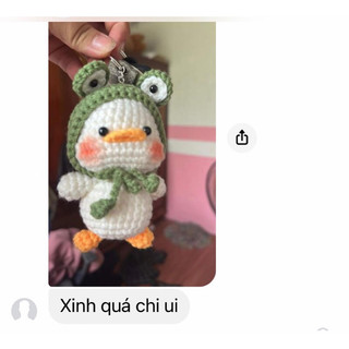 Móc Khoá Vịt Đội Mũ Ếch Bằng Len ( Ảnh Thật )