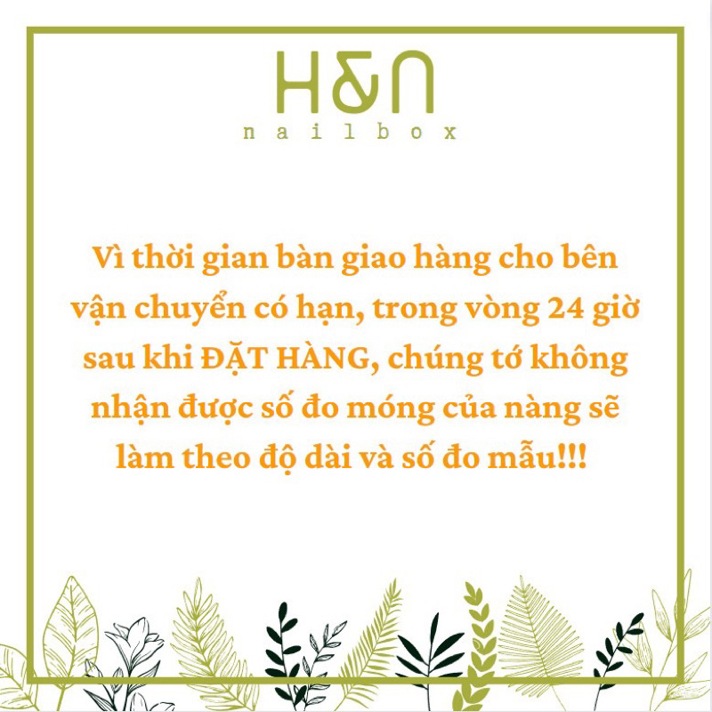 Naolbox Nail box Móng Úp Thiết Kế Hoạt Hình Dễ Thương