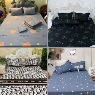 Ga gối cotton poly 1 ga chun + 2 vỏ gối nằm