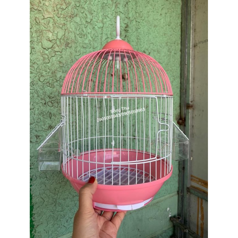 Lồng nuôi hút mật, khuyên