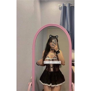 Set váy cosplay mèo full phụ kiện big size