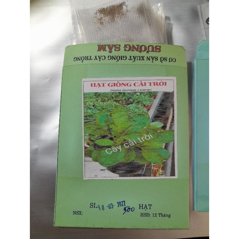 300 Hạt Giống rau cải trời